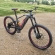 Audi e-tron Mountain Bike